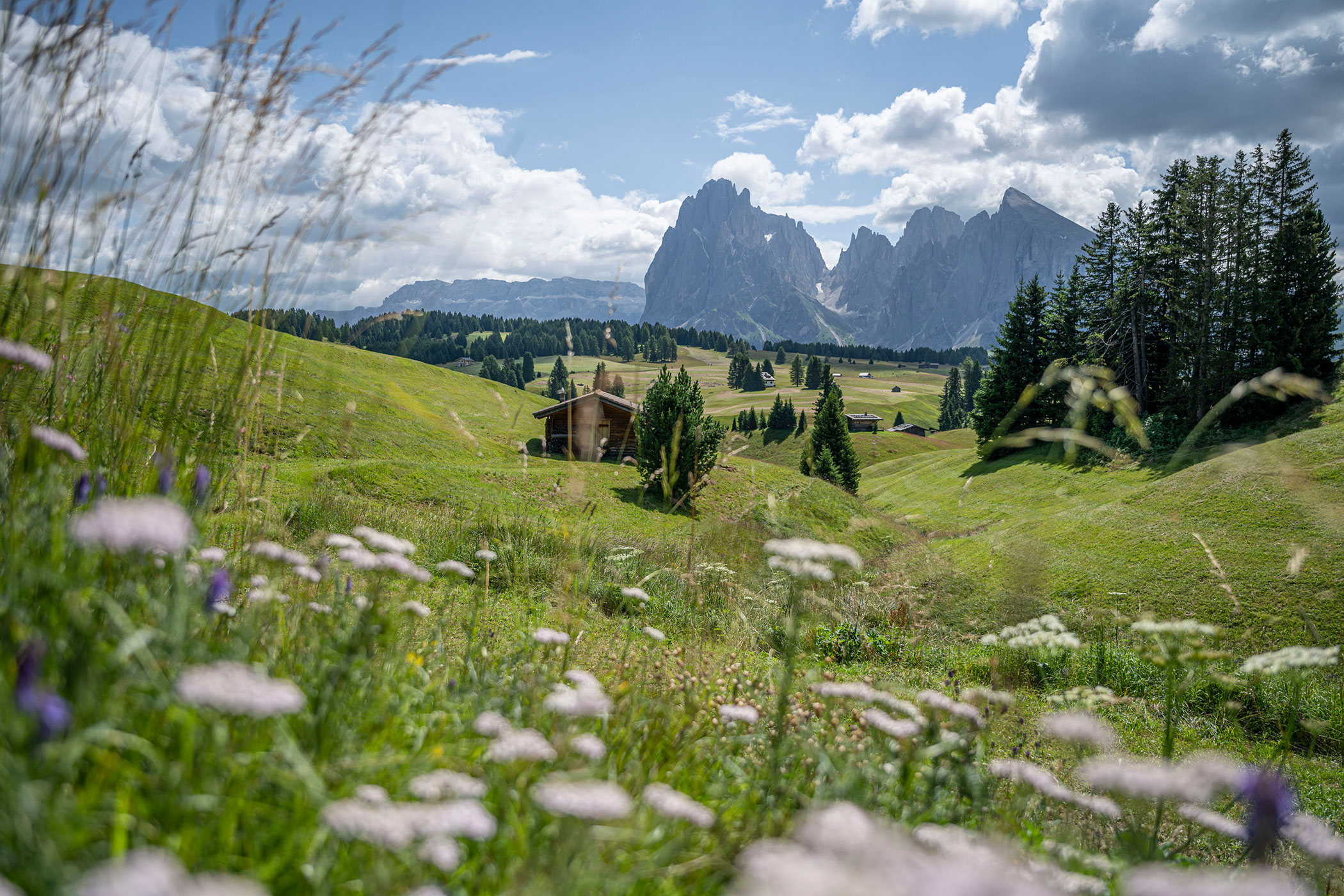 Dolomiti
